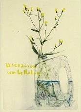 Открытка «Ястребинка зонтичная», Максим Савва
