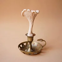 Свеча «Гриб Лисичка» цвета охра