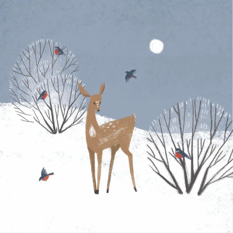 Квадратная сканди открытка «Олененок и снегири»