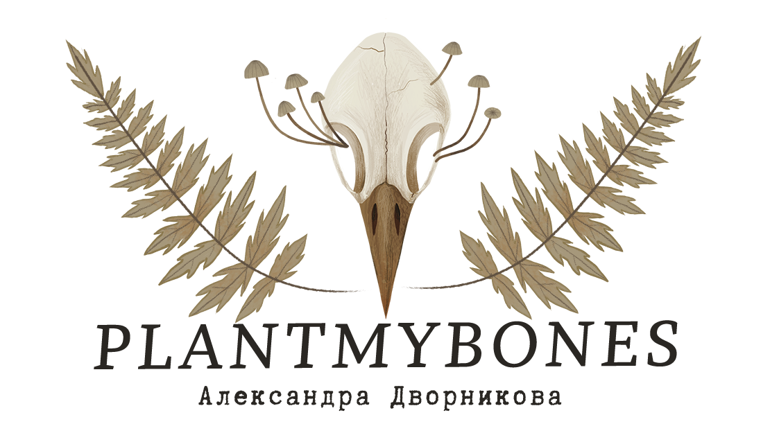 PlantMyBones - Александра Дворникова