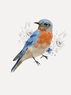 Тетрадь DARI DARI «Птичка», А5, 40 листов