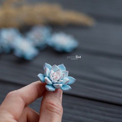 Брошь ручной работы «Суккулент», голубая, полимерная глина, фото 2.