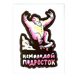 Виниловая наклейка ШКЯ «Немолодой подросток», разноцветная