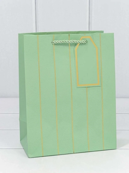 Пакет подарочный «Полосы», 18х23 см, фото 4.