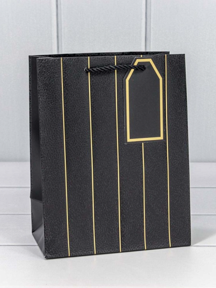 Пакет подарочный «Полосы», 18х23 см, фото 1.