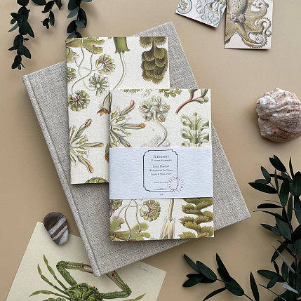 Блокнот «Hepaticae», А6, фото 1.