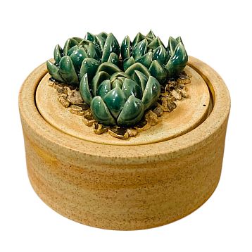 Шкатулка «Суккуленты №1», 10 см, керамика, фото 1.