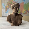 Картонный конструктор 3D «Венера Милосская», превью фото 6