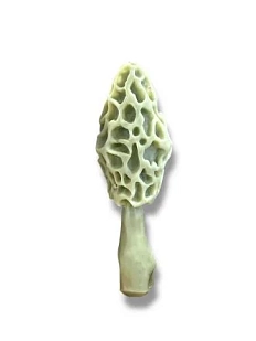 Свеча ручной работы «Гриб Сморчок», хаки