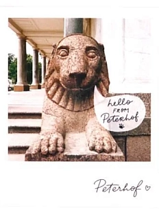 Открытка «Лев. Фото полароид»