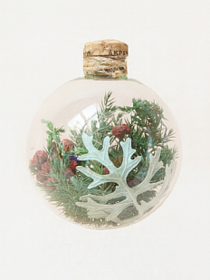 Ёлочный шар «Успешный», 10 см