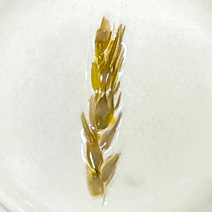 Блюдце для украшений ручной работы Чашки и поцелуи «Колосок», полуфарфор, 7 см, фото 2.