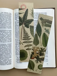 Закладка «Листья и лишайники» № 1