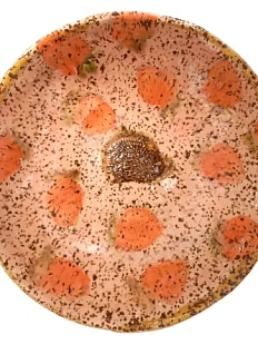 Тарелка круглая ручной работы «Ёжик и ягоды», персикова, керамика, 14 см