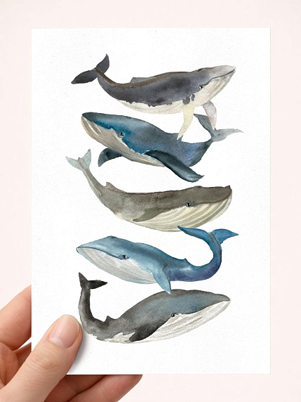 Открытка DARI DARI «Киты», А6, фото 1.