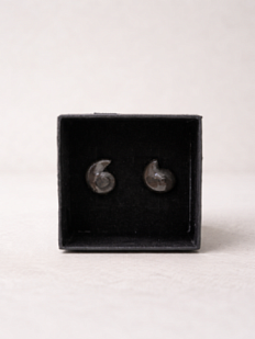 Сережки-гвоздики «Ракушки-завитки», чёрные, глянцевые, фарфор