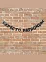 Бумажная гирлянда из букв Tak.sebe.prazdnik «EXPECTO PATRONUM», чёрная, картон, 240 г/м², превью фото 2