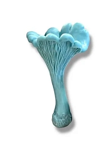 Свеча «Гриб Лисичка» сизого цвета