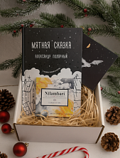 Подарочный набор на Новый год с книгой «Мятная сказка» и шоколадом