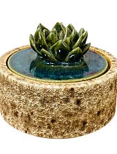 Шкатулка «Суккуленты №2», 10 см, керамика