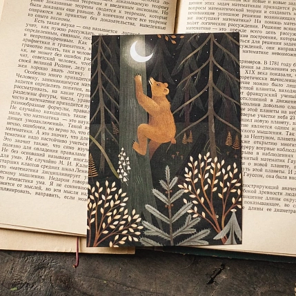 Мини-постер «Лунный медведь», Дворникова Александра, фото 3.
