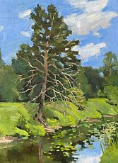 Открытка «Одинокая сосна», Зоя Абросимова