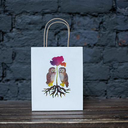 Крафт-пакет «Совы такие совы», фото 1.