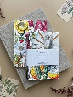 Блокнот «Кактус», А6