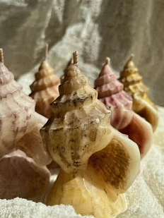 Интeрьерная свеча Медленные свечи «Ракушки»