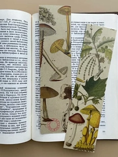 Закладка «Грибы» № 2