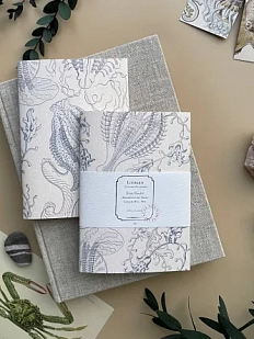 Блокнот «Siphonophore», А6, бежевый