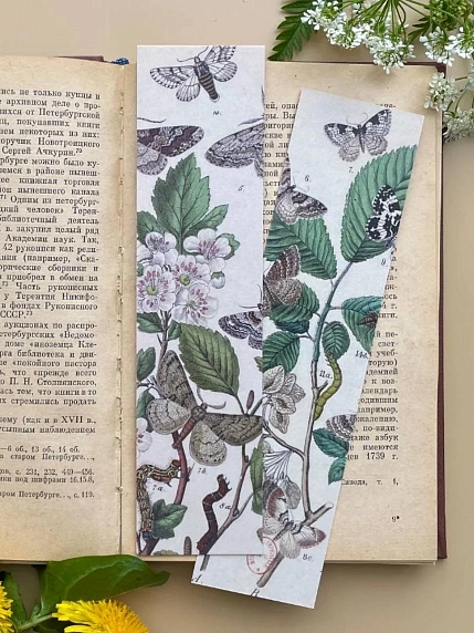 Закладка «Серые и коричневые бабочки» №2, фото 1.