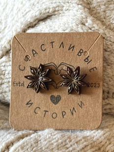 Серьги-гвоздики Счастливые истории «Бадьяны», полимерная глина, коричневые