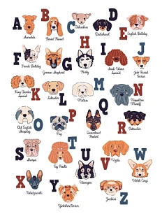 Постер интерьерный DARI DARI «Породы собак», на английском языке, А3