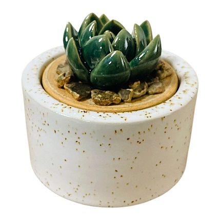 Шкатулка «Суккуленты №1», 7 см, керамика, фото 1.