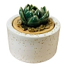 Шкатулка «Суккуленты №1», 7 см, керамика, превью фото 1