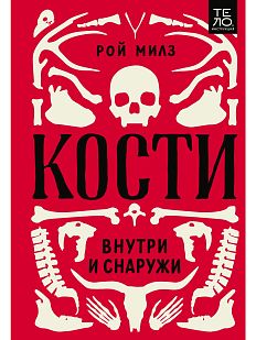 Кости: внутри и снаружи