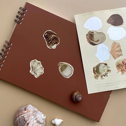 Стикерпак «Mollusques» А6, фото 2.