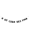 Бумажная гирлянда из букв Tak.sebe.prazdnik «Я ОТ СЕБЯ БЕЗ УМА», чёрная, картон, 240 г/м², превью фото 1