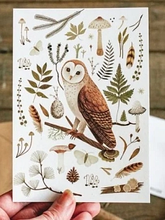 Мини-постер «Сова сипуха», светлая, Дворникова Александра