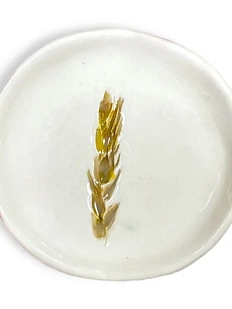 Блюдце для украшений ручной работы «Колосок», полуфарфор, 7 см