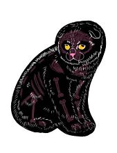 Постер интерьерный Pablo Radini «Котик», А4