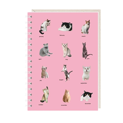 Блокнот на пружине Mitrozhe «Календарь», А6, 50 листов, розовый, фото 1.