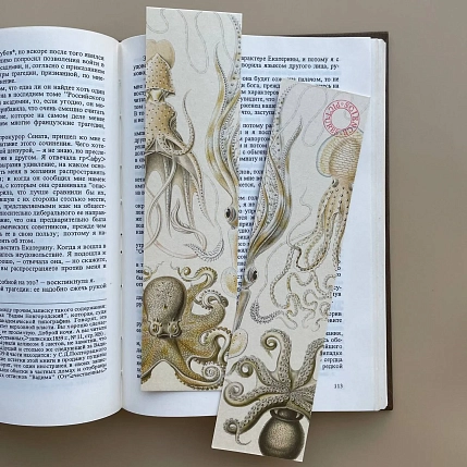 Закладка «Gamochonia» №4, фото 1.