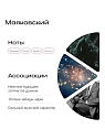 Одеколон Biblioteka aromatov «Маяковский», 30 мл, превью фото 2