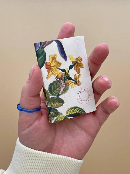 Набор мини-открыток «Prevost» , фото 2.