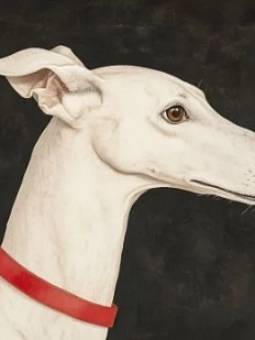 Обложка на студенческий билет DARI DARI «Грейхаунд» (английская борзая), экокожа