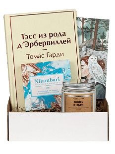 Подарочный набор с книгой «Тэсс из рода д'Эрбервиллей», ароматической свечой и шоколадом