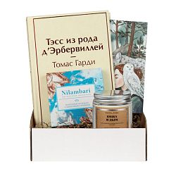 Подарочный набор с книгой «Тэсс из рода д'Эрбервиллей», ароматической свечой и шоколадом