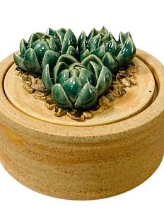 Шкатулка «Суккуленты №1», 10 см, керамика